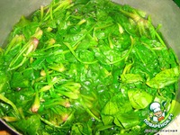 �������� �����������