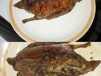 ����� ����, ������������� �������� �����������