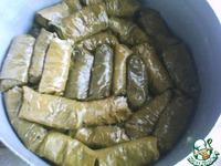 ����� �����������