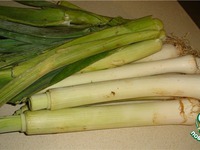 ���� � �����-������ �����������