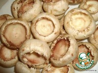 ������� ������� �����������