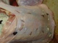 �����-������� �����������