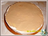 ����  "�������" �����������