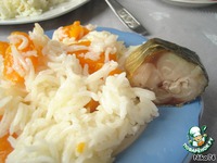 ������ ���� - ���� � ������ �����������