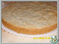 ���� "������ ������������" �����������