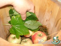 ������ ���e��� "�����������" �����������