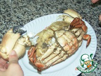 ���� ������������� �����������