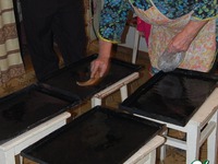 ������ �����������