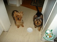 ������� �������� "4 ���" �����������