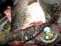 ������ ���� � �����-��������� ������� �����������