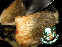 ������ ���� � �����-��������� ������� �����������