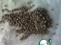 �������� ��-������� �����������