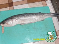 ���� ����� � ������� �����������