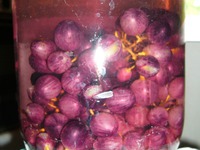 �������� ��������������� �����������