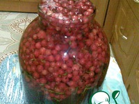 ������ �� ������� ��������� � ������ �����������