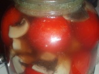 ������������ �������� � ������� �����������