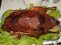 ���� ����������� �����������