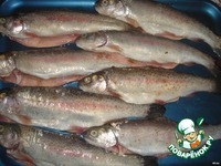 ������ � ������ �����������