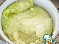 ������� � ������� ������ �����������