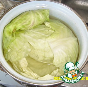 Голубцы из молодой капусты с куриным фаршем рецепт с фото
