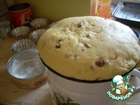 "����� ������������" � "���������� �����" �����������