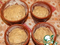 ���� �������� �����������