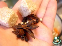 ������������ ������ ��� "��� �� ��" �����������