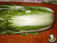 ����� "��������" �����������