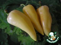 ������� �������� �����������