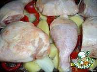 ������ � �������� �����������