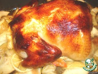 ������ �� �������� ������� �����������