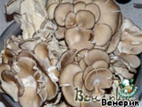 ��������-����������� ������ �e����� �����������