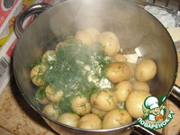 ������ ������� "����" �����������