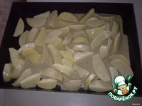 ���������" �����" �����������