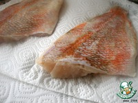 �����-����������� ����� �����������