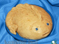 ������� "��� ����� ���" �����������