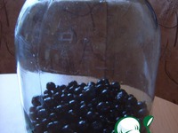 ������ "����������" �����������