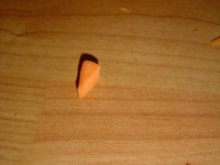 ������ �� ������� �����������