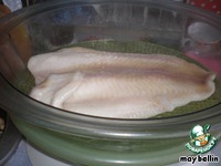 ���� ��� �������� �����������