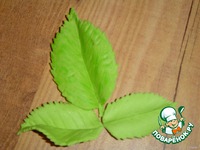 �������� �� ������� �����������