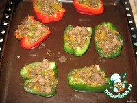 �����e���� ������������� ����� "�������" �����������