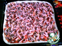 ����� �������� �����������