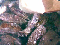 ������ � ���� �����������