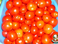 ����� ����������� ������� �����������