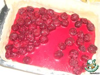 ������������ ���������� ���������� ����� �����������