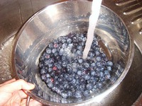 ���� �� �������� "�������" �����������