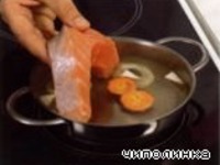 ����� �������� � �������� �����������