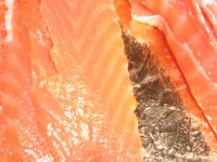 ����� �� ������� ���� �����������