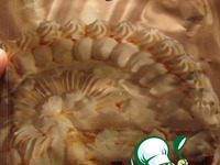 ���� "�������" �����������