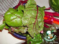 ����� �� ����������� �������� �-�� "����������" �����������